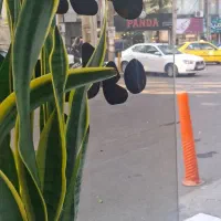 اجاره مغازه بر اصلی فقط برای طلا فروشی