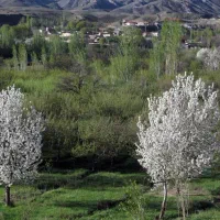 فروش زمین 307 متری با سند تک برگ و انشعابات کامل