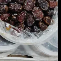 خرمای کبکاب صادراتی|خوردنی و آشامیدنی|شیراز, ستارخان|دیوار