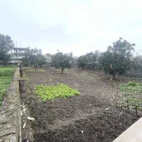 ۳۳۰ متر زمین.رامسر