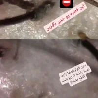 پاکسازی کف سر،درمان ریزش،شوره چربی سروضخیم سازی مو|خدمات آرایشگری و زیبایی|نیشابور, هفده شهریور|دیوار