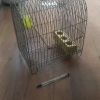 قفس ۷ عدد کلبه ایی و متوسط و سهره ایی