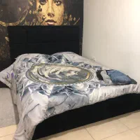 سرویس خواب دونفره چستر با تشک رویال شیش ماه کارکرد