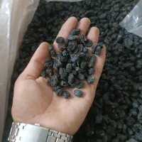 کشمش تاکستان آفتابی پلویی مویز ابگیری|خوردنی و آشامیدنی|خرمدشت, |دیوار
