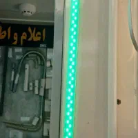 ریسه شاخه ای