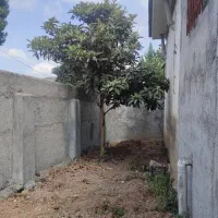 فروش ویلا با (سند تک برگ) منطقه جنگلی|فروش خانه و ویلا|شیرگاه, |دیوار