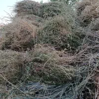 فروش یونجه