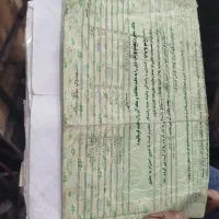 هوندا رهرو مدل ۹۵