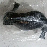 کفش مجلسی زنانه ۵۸۰تومن|کیف، کفش، کمربند|تالش, هشتپر|دیوار