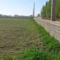 رضاآباد-ساوجبلاغ-فرصت-طلایی-زمین