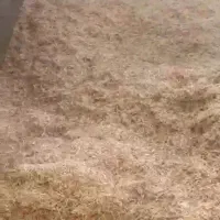 کاه گندم درجه یک