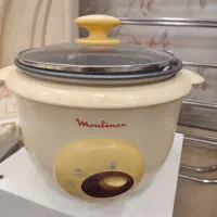 چرخ گوشت مولینکس پلوپز بخار مولینکس