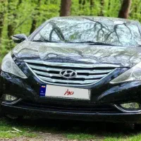 وای اف۲۰۱۲ مشکی