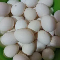 تخم مرغ محلی نطفه دار