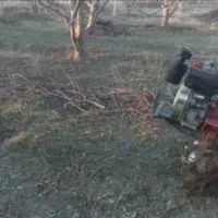 شخم زنی درختان با قیمت مناسب|خدمات باغبانی و درختکاری|میانه, |دیوار