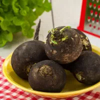 ترب سیاه و ذرت مکزیکی