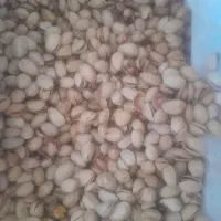 کار در منزل