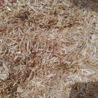 خرید و فروش کاه گندم جو و گندم یونجه ذرت خار|عمدهفروشی|مشهد, آبکوه|دیوار