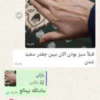 کرم شب مروه گلی|آرایشی، بهداشتی، درمانی|میبد, |دیوار