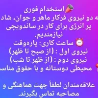 نیروی فرکار ماهر و جوان برای ساندویچی