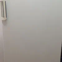 یخچال فریزر بوژان