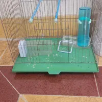 قفس پرنده همراه با دوتا آبخوری و دونه