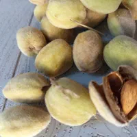 پسته بادام آجیلی پوسته بسیارنازک