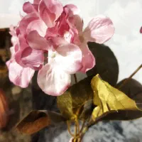 گلدان|گل مصنوعی|تربت جام, فاز ۱ فرهنگیان|دیوار