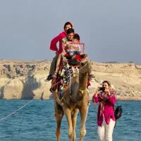 تور گشت جزیره VIP با اسپورتیج|تور و چارتر|قشم, |دیوار