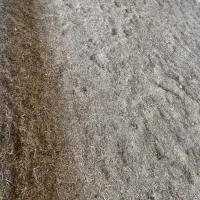 کود گوسفندی