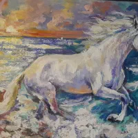 بوم ۵۰در۷۰