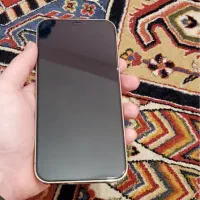 آیفون ۱۲ پرومکس iphons 12 promax 256 gig