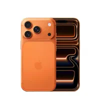 17 pro max اقساطی