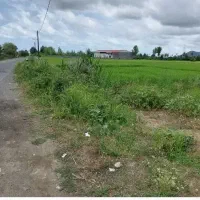 فروش زمین سنددارتکبرگ زیرقیمت برجاده قلعه