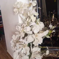 حراجی|خدمات باغبانی و درختکاری|ارومیه, |دیوار