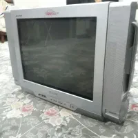 تلویزیون