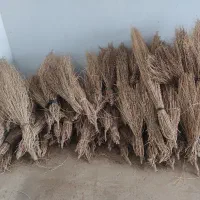 ج ا ر و قیمت مناسب