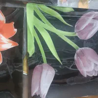 سینی سرو  آیینه ای طرح دار شیک|ظروف سرو و پذیرایی|شیراز, میانرود|دیوار