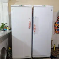 تعمیرات تخصصی   یخچال، پکیج، کولرگازی، ابگرمکن|خدمات پیشه و مهارت|دورود, |دیوار