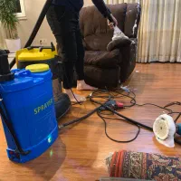 مبلشویی مبل شویی|خدمات نظافت|رشت, معلم|دیوار