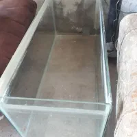 اکواریوم سالم معاوضه با کوچیک تر