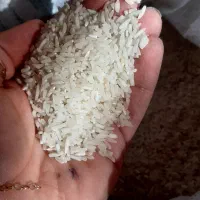 برنج ایرانی سر لاشه معطر|خوردنی و آشامیدنی|تهران, دولاب|دیوار