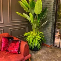 درختچه بزرگ کنار سالنی|گل مصنوعی|خرمآباد, |دیوار