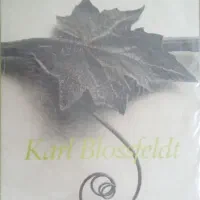 کتاب عکس خارجی/ karl Blossfeltd