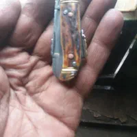 چاقی  مینیاتوری کلکسینی