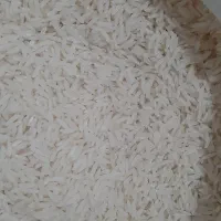 برنج طارم هاشمی درجه یک کشت اول