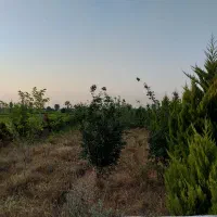 3 پلاک باغ جنگلی 200متری مناسب سرمایه گذاری|فروش زمین و ملک کلنگی|چمستان, |دیوار