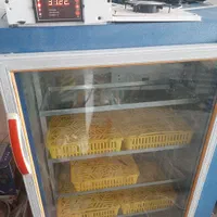 دستگاه جوجه کشی شیراز جوجه|لوازم جانبی حیوانات|زرند, |دیوار