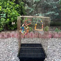 قفس کاسکو با لوازم|لوازم جانبی حیوانات|فومن, |دیوار