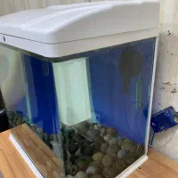 اکواریوم شیشه خم|ماهی|خرم‌آباد, |دیوار